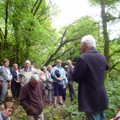 Catégorie par défaut